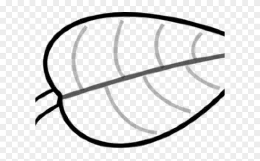 Label Parts Of A Leaf Clipart