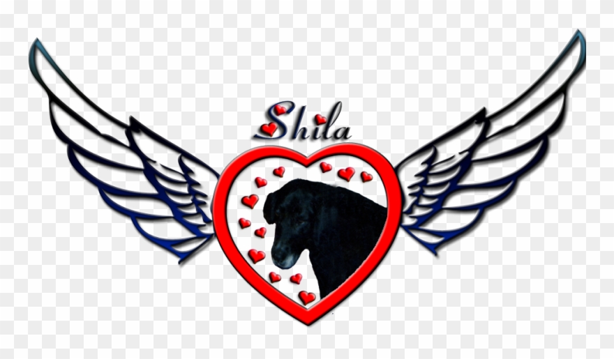Shila - Shila Logo Clipart