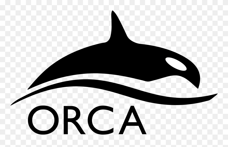 Orca Clip Art - Orca Program - Png Download