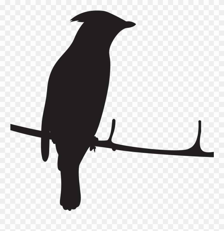 Cedar Waxwing - Cedar Waxwing Silhouette Clipart
