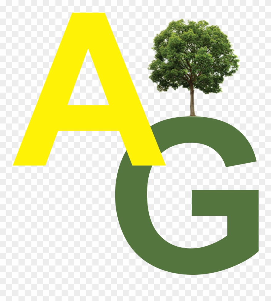 Tree Clipart