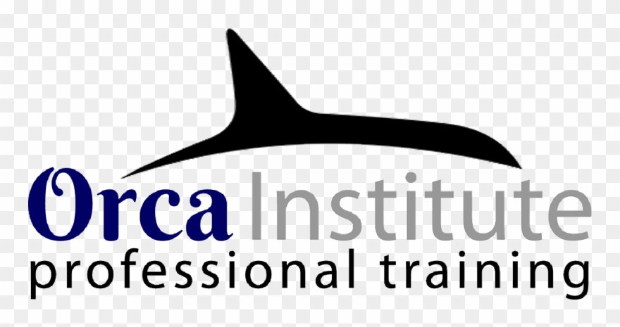 Duke Clinical Research Institute Logo Clipart