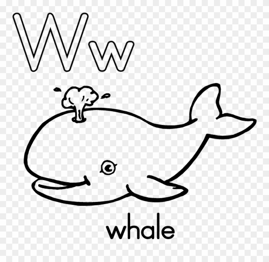 Whale Shark Clipart Paus - Alphabet Coloring Pages W - Png Download