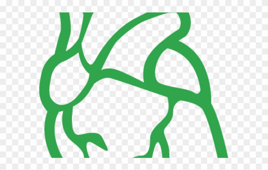 Vision Clipart Eye Donation - Png Download