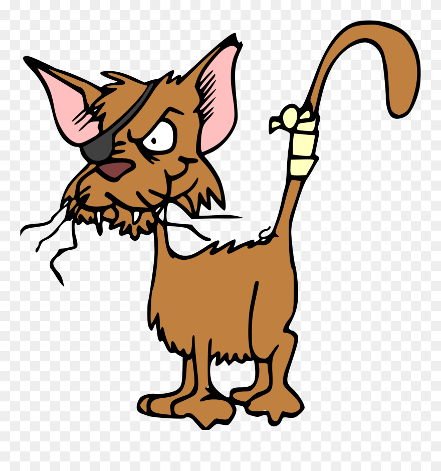 Cat, Animal, Injured, Hurt, Fighting, Patch, Pet - One Eyed Cat Cartoon Clipart