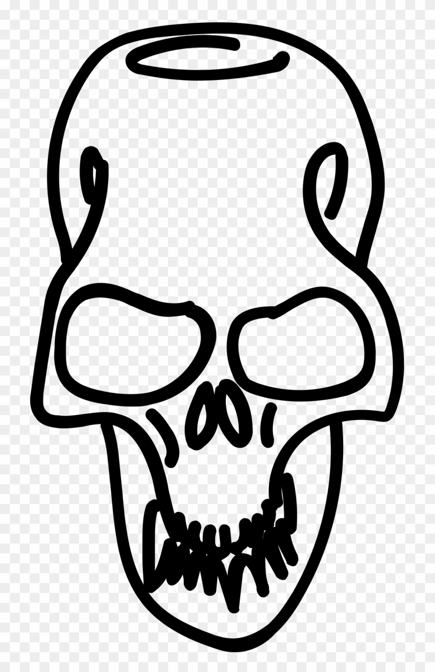 Festivals,dead - Skull Clipart