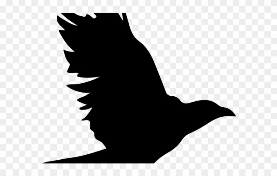 Raven Clipart Raptor Bird - Clip Art - Png Download