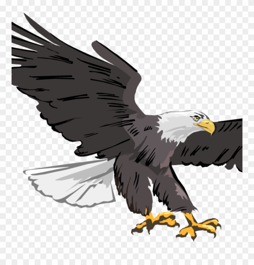 Free Clipart Of Eagles Free Clipart Of Eagles Free - Cafepress Eagle Throw Pillow - Png Download