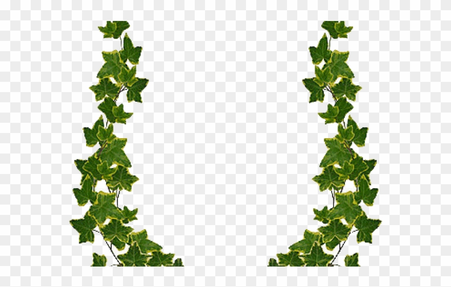 Green Leaf Border Design Png Clipart