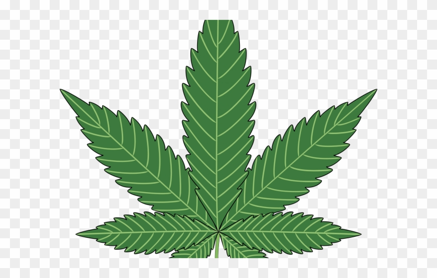 Marijuana Clipart Easy - Hoja De Marihuana Para Dibujar - Png Download