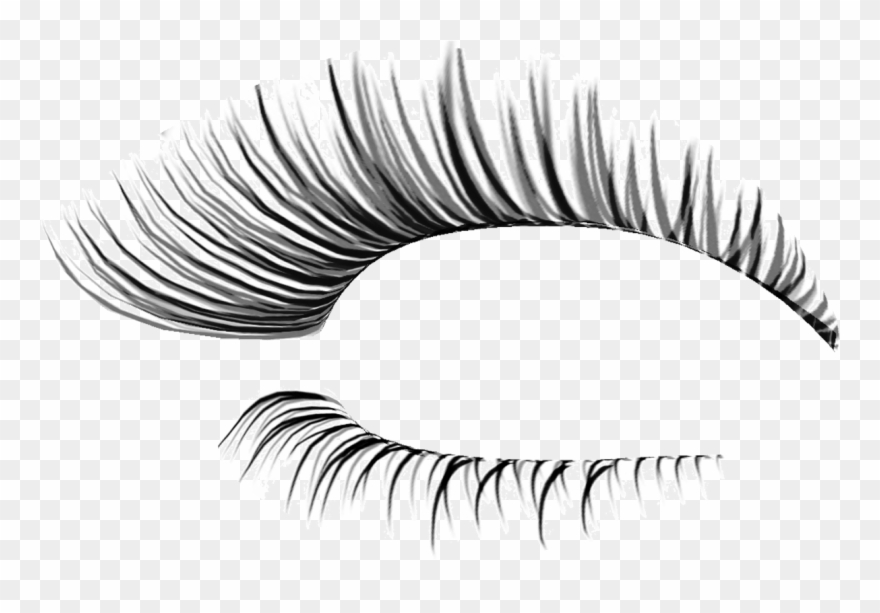 Transparent Background Eyelashes Transparent Clipart