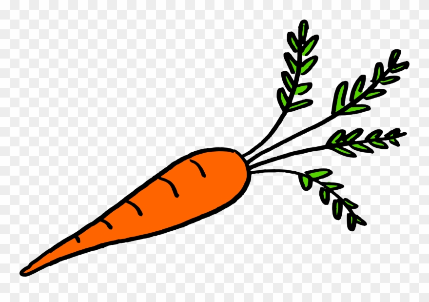 Picture Free Stock Is It A Vegetable - Vegetables That Grow Underground Roots Clipart
