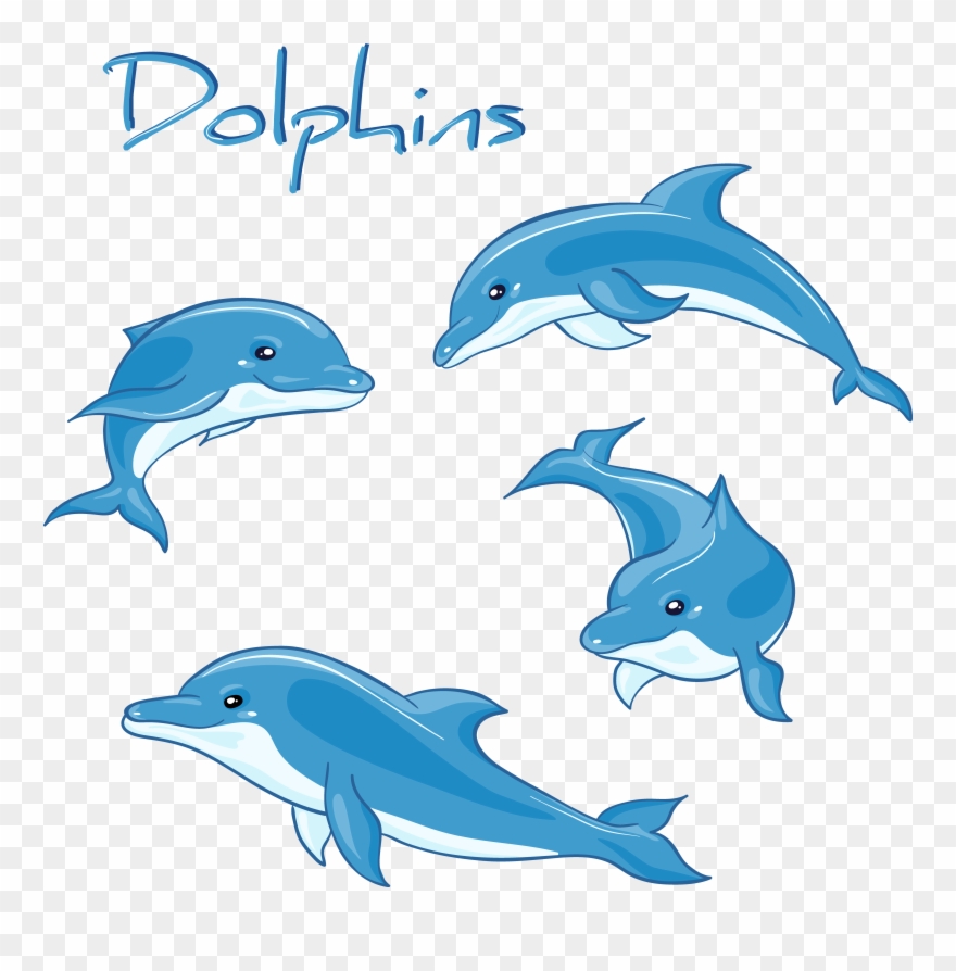 Biology Drawing Decoration - Dolphins Cartoon Clipart