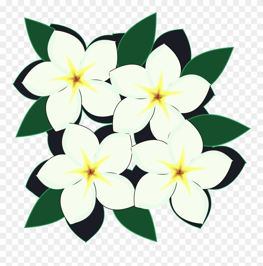 All Photo Png Clipart - Clip Art Transparent Png