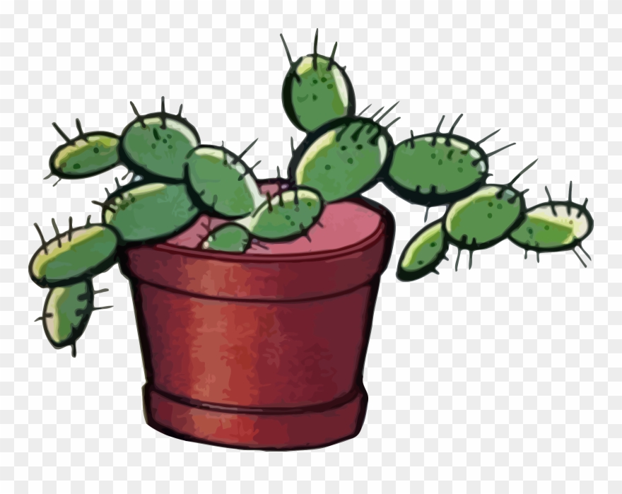 All Photo Png Clipart - Plant Spine Clipart Transparent Png