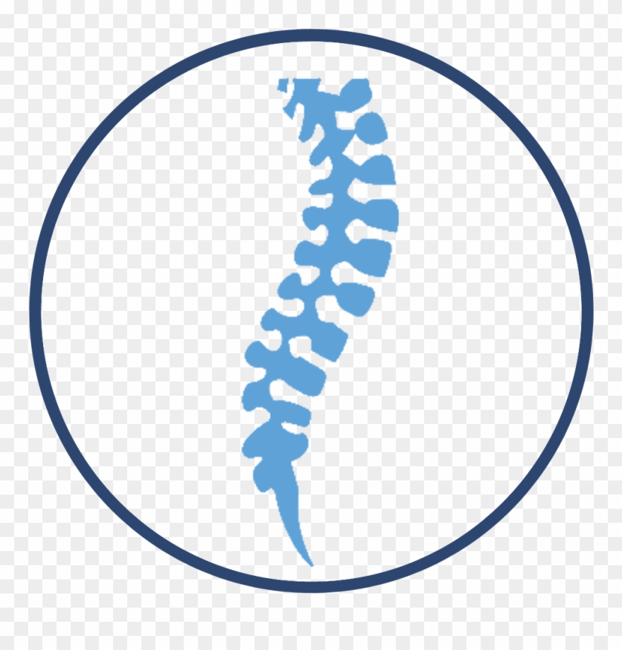 Spine Center - Officite Chiropractic Practice Clipart