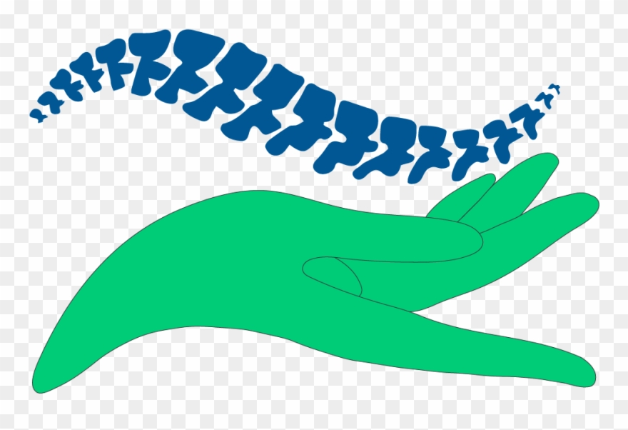 Spine Sport & All Facets Of Rehab Center, Inc - Logo Clipart