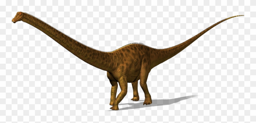 Diplodocus Is A Plant Eater, He Has His Long Neck To - Diplodocus Dinosaur Png Clipart