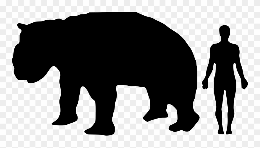 Fossil Clipart Anthropology - Diprotodon Optatum - Png Download