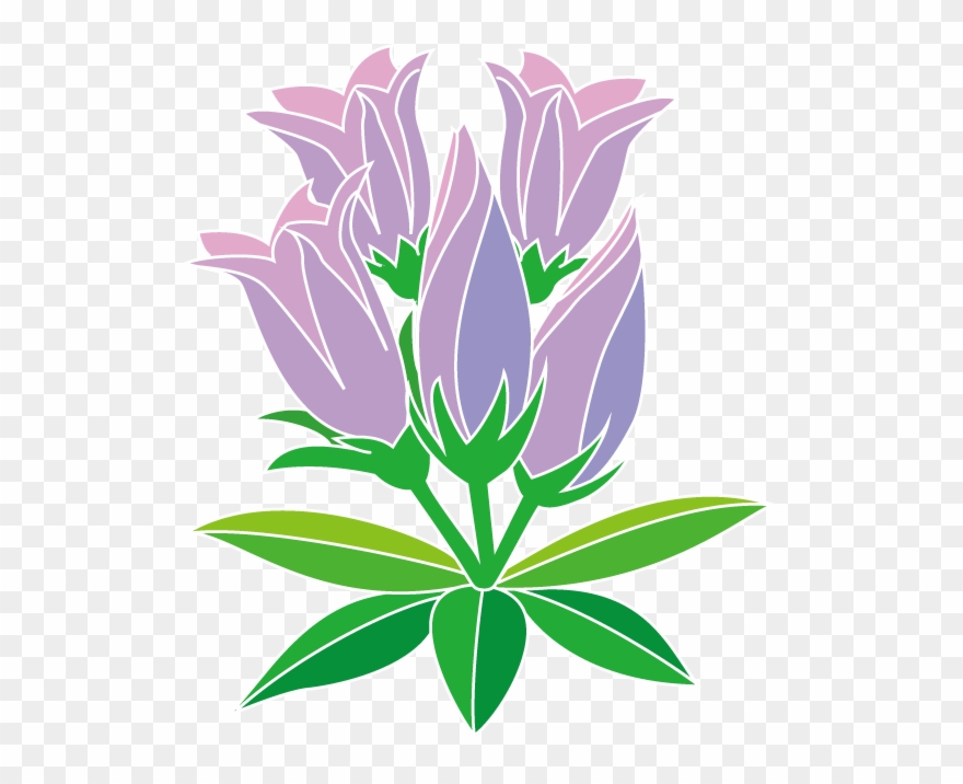 秋の花1 04 リンドウイラスト - りんどう イラスト 無料 Clipart