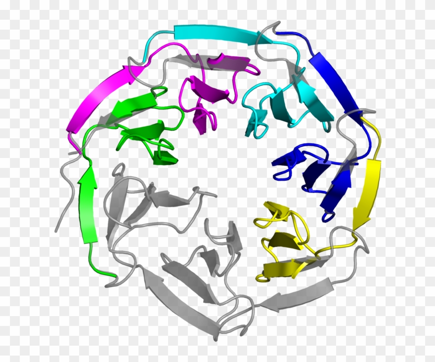 Graphic Design Clipart