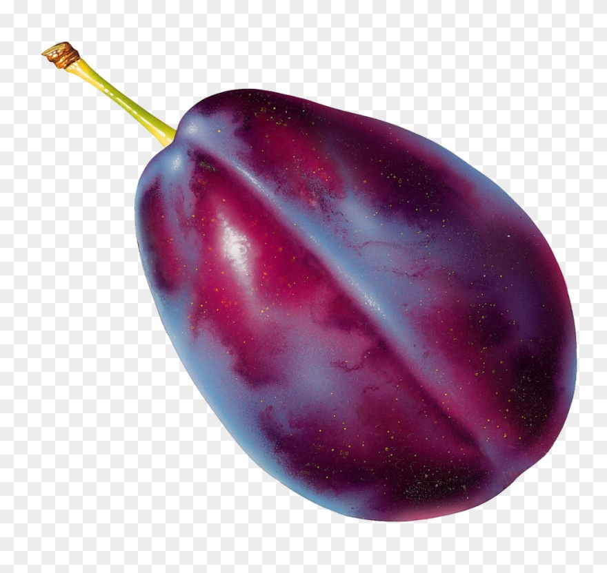 Blackberry Clip Art Cartoon Food Image D - Plum Transparent Background - Png Download