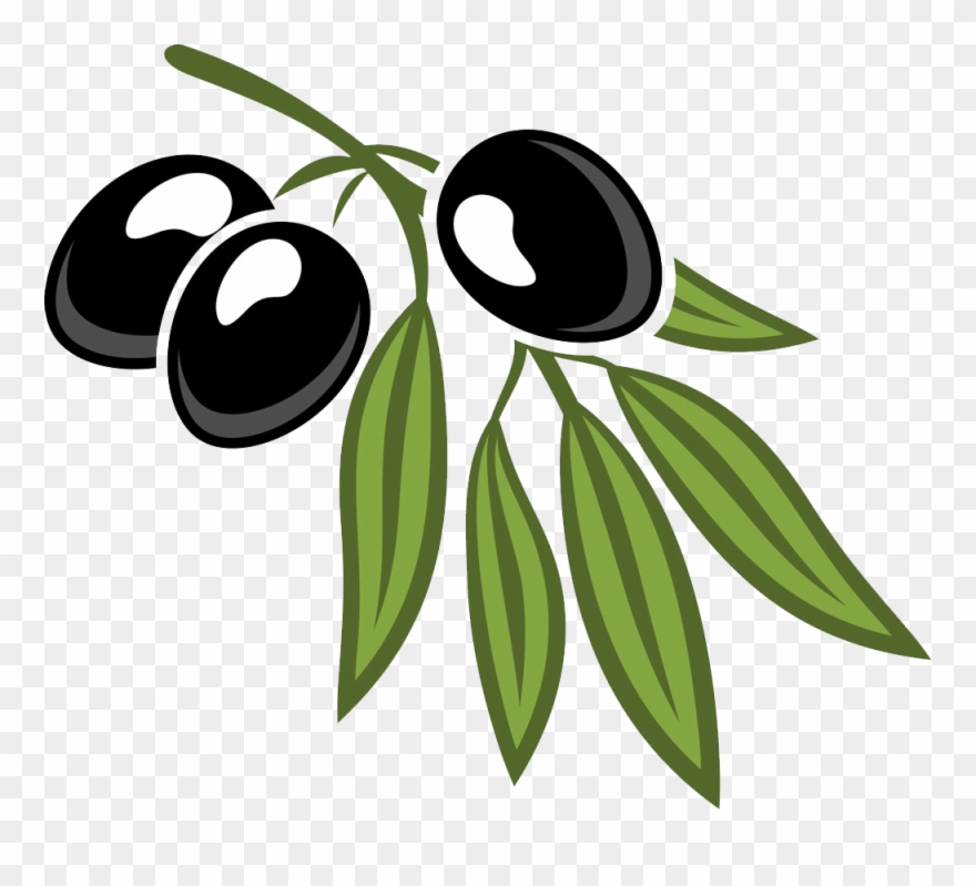 Leaf Cartoon Royalty Free Olives And Foliage - Cartoon Pictures Of Olives Clipart