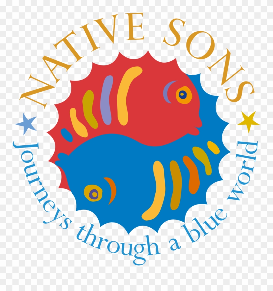 Best Scuba Diving West End - Steve Hofmeyr Grootste Platinum Treffers Clipart