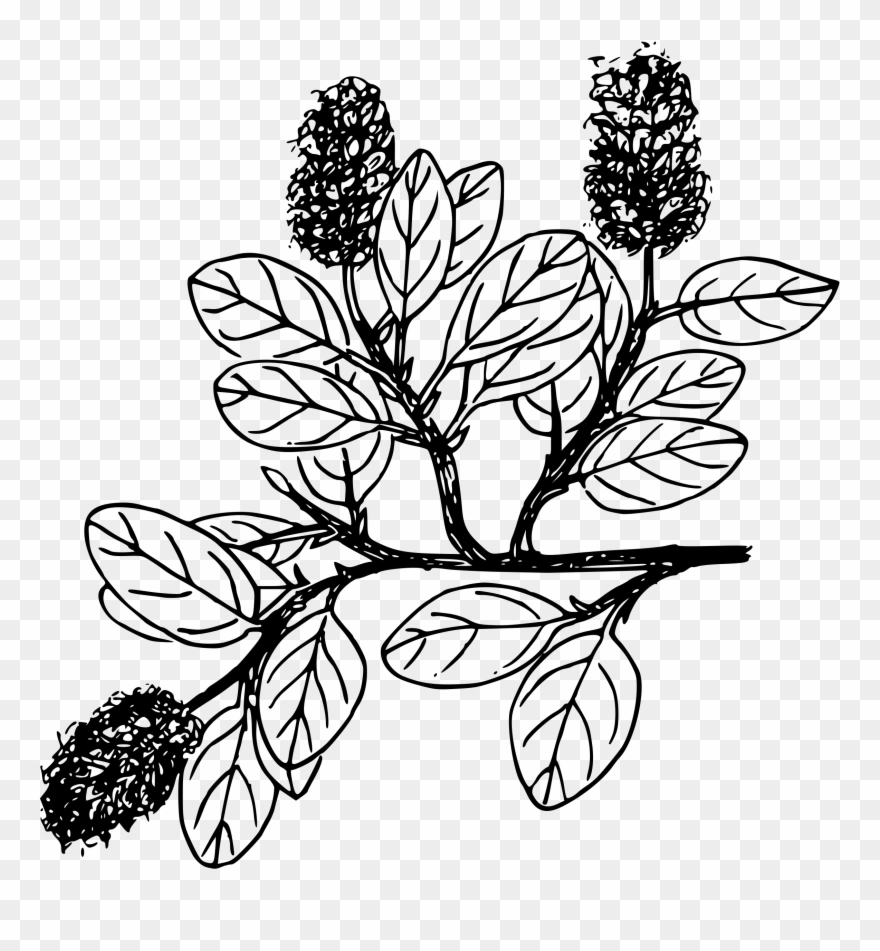 Snow Icons Png Free And Downloads - Portable Network Graphics Clipart