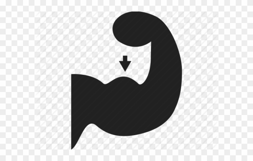 Bodybuilding Clipart Body Energy - Clip Art - Png Download