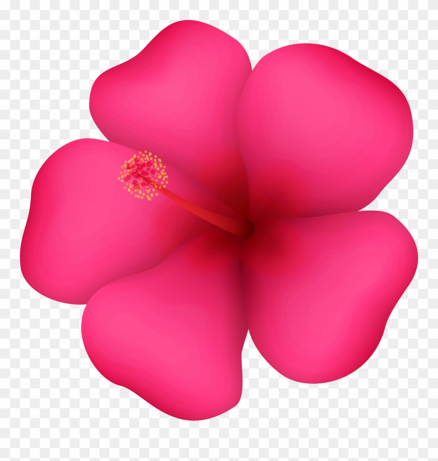 Tropical Flower Clipart - Png Download