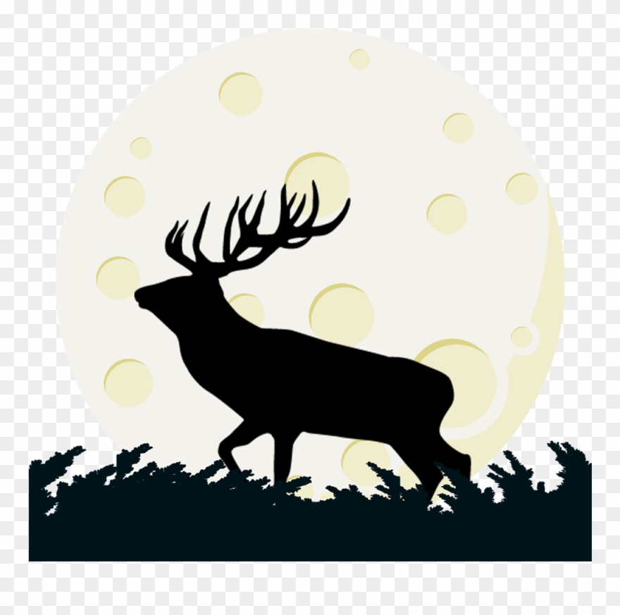 Score 50% - Deer Clipart