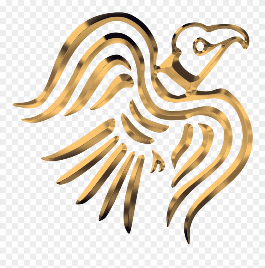 Predators In Photography Beware You Can't Hide For - Favicon Clipart