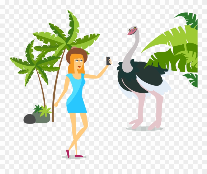 Exploratory Testing - Illustration Clipart