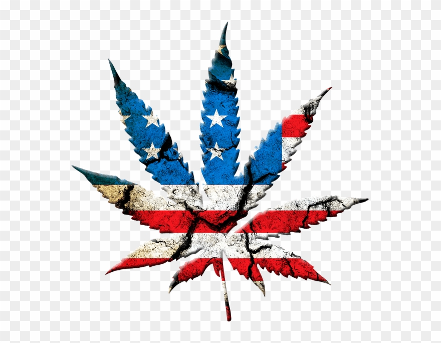 Image Of American Colored Marijuana Leaf For Digital - State Marijuana Legalization: Issues And Effects Clipart