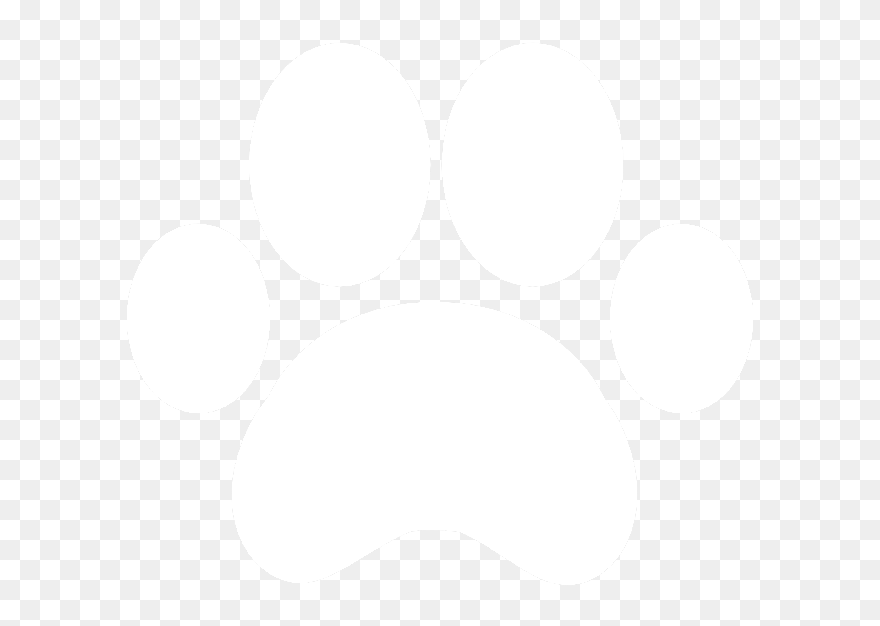 Evaluation And Letter $100 - Dog Years I Would Be 350 T-shirt Funny 50th Birthday Clipart