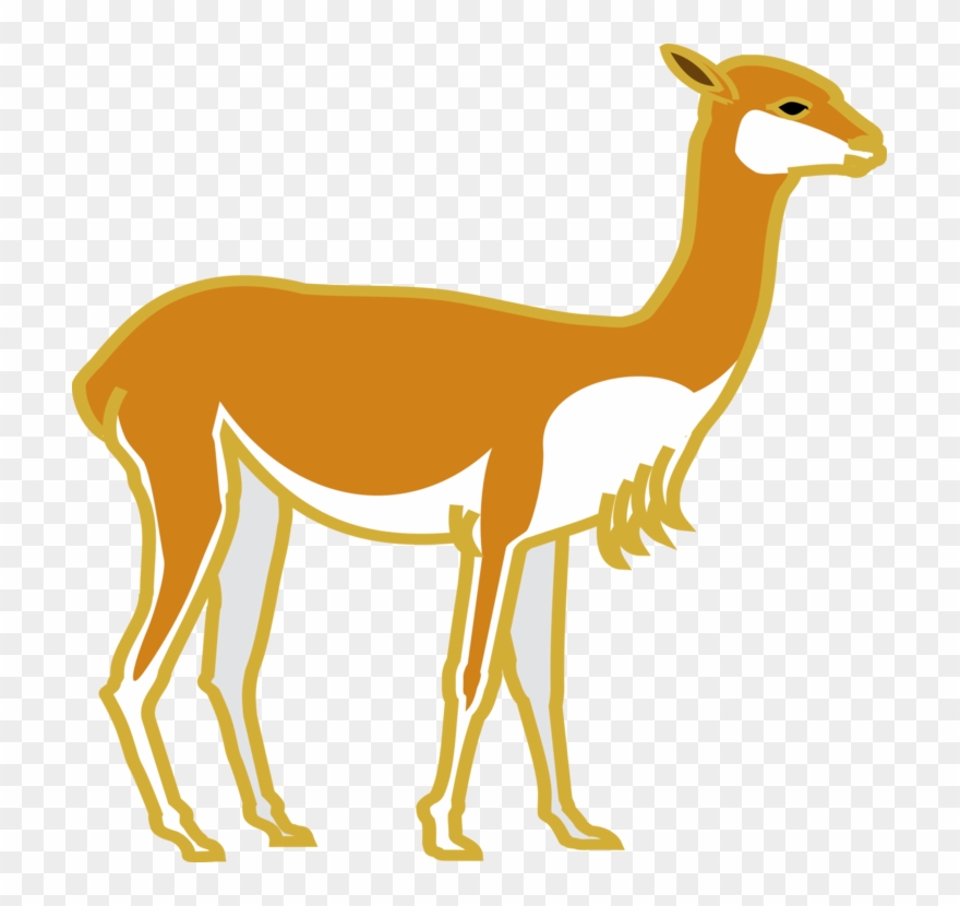Deer Computer Icons Peru Mammal Drawing - Deer Clipart