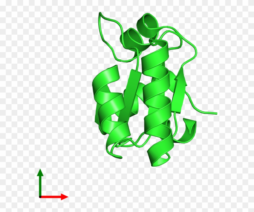 Illustration Clipart