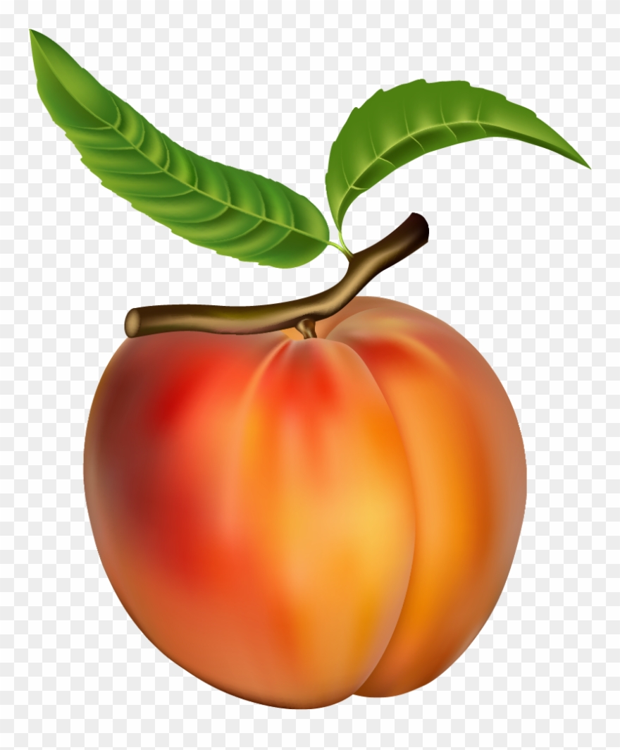 Peach Png Clipart - Peach Clipart Transparent Png