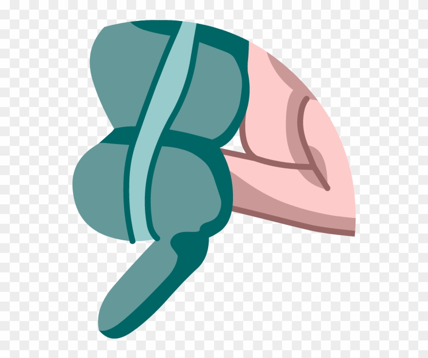 Digestive System - Brainpop Appendix Clipart