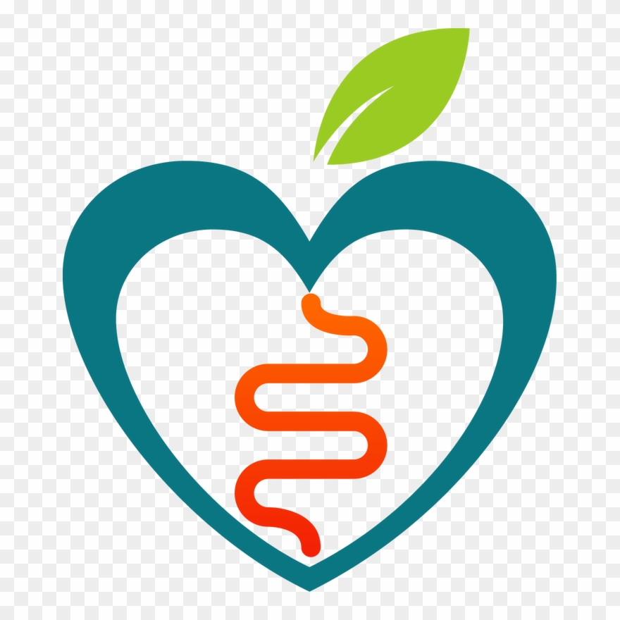 Gas Clipart Digestive System - Clipart Healthy Intestines - Png Download