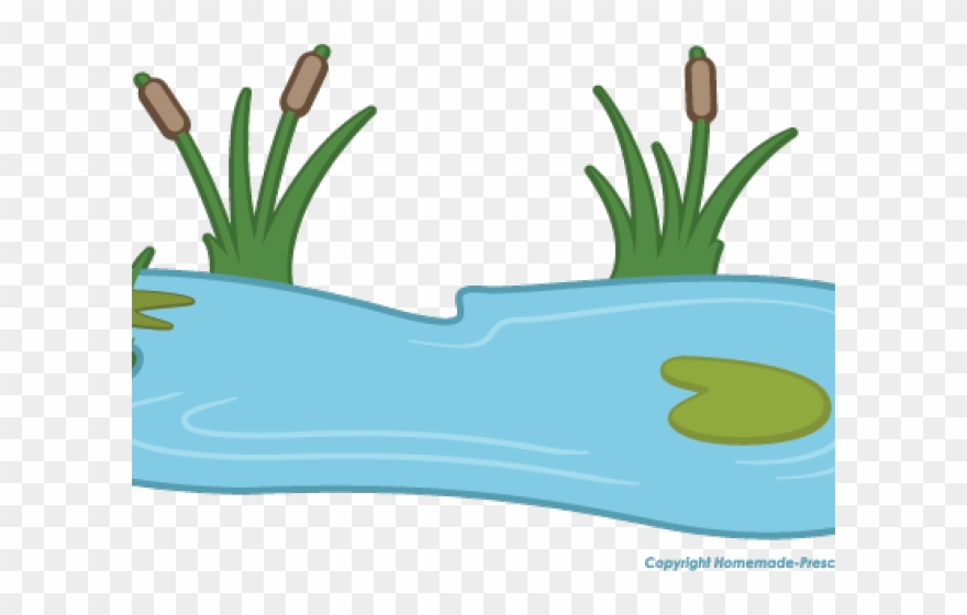 Lily Pad Clipart Pond Animal - Water Pond Pond Clipart - Png Download