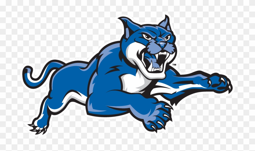 Wildcat Logo Clipart - New England Institute Of Technology Mascot - Png Download