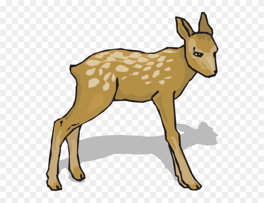 Fawn Clipart Png Transparent Png