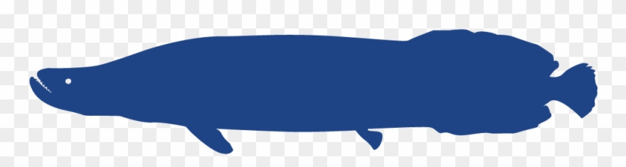 Diversity, Inclusion And Equity Committee - Gold Clipart