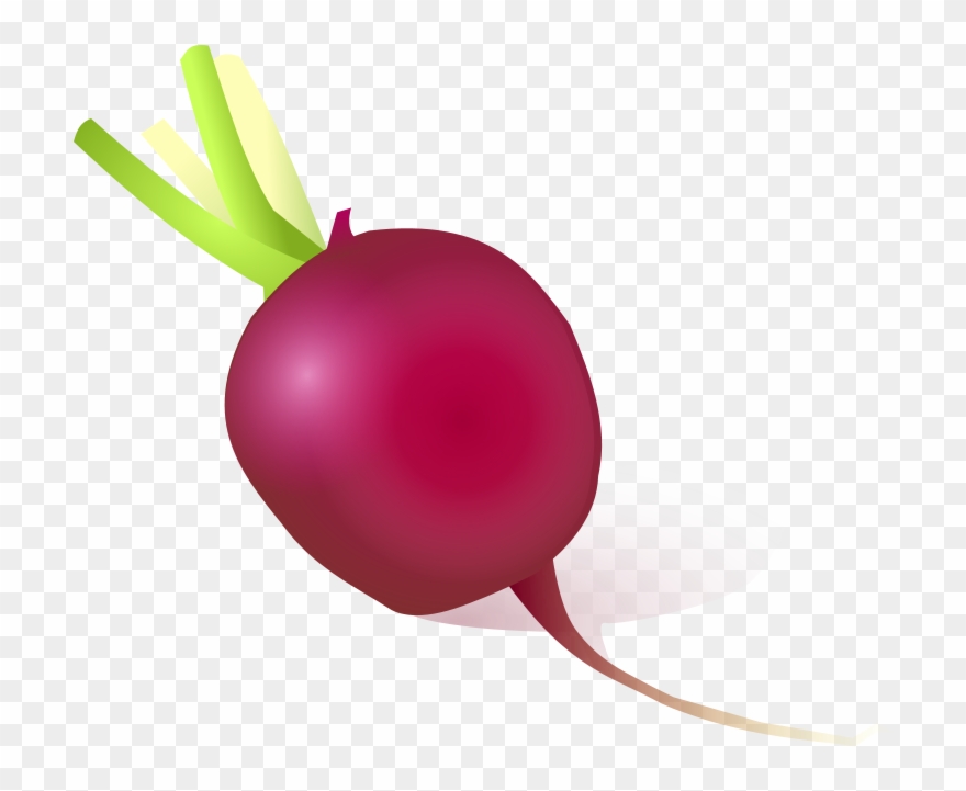 Radishes 2 Clip Art Download - Cartoon Radish - Png Download