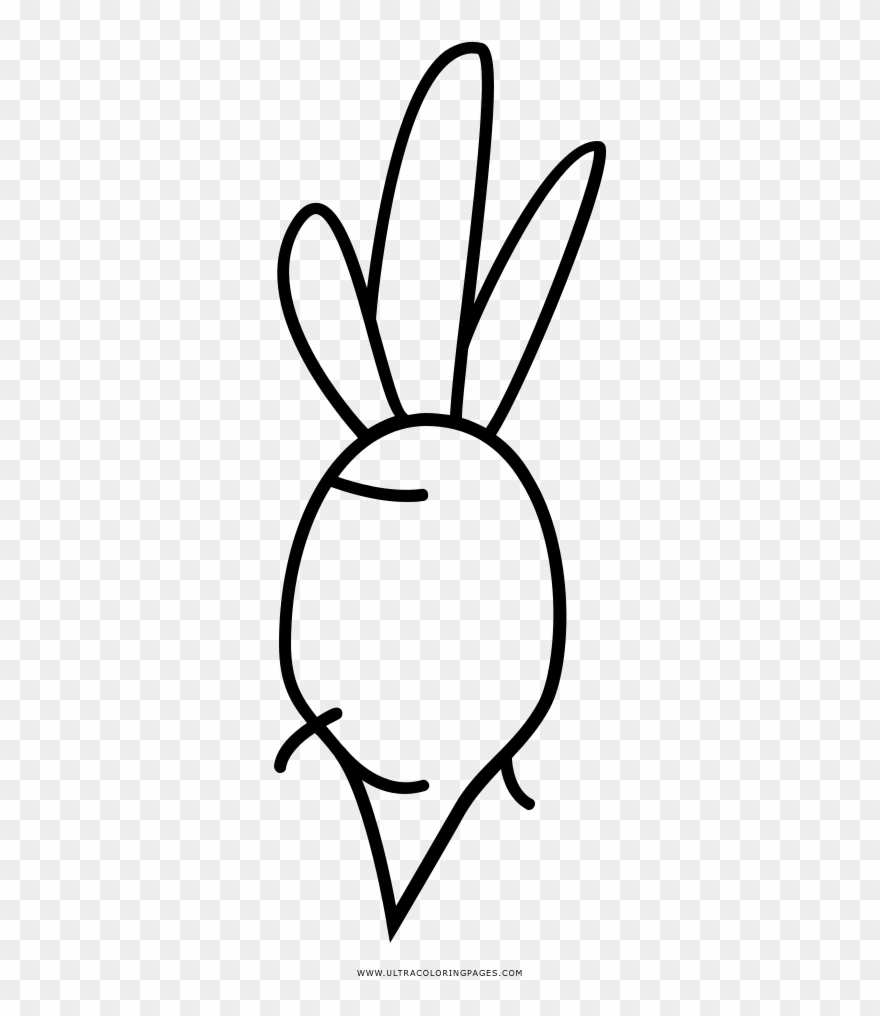 Beet Coloring Page - Line Art Clipart