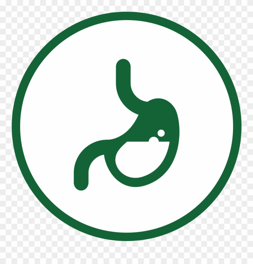 Liver Detox - Liver Clipart