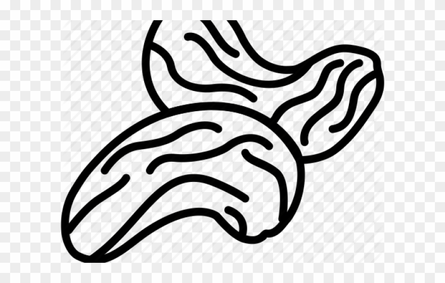 Cashew Clipart