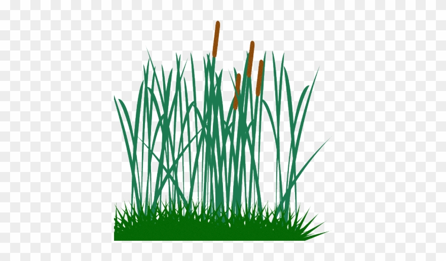 Dry Grass Clipart Tall Tall Grass Clip Art Png Download (722918